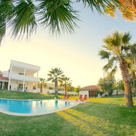 Alashato * אלאקאטי